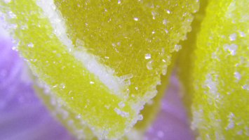 разве это макро
вот на обычную мыльницу