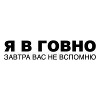 Енот пробрался на склад с алкоголем и хорошенько там порезвился