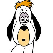 Вот это скорость! Самая быстрая собака во вселенной