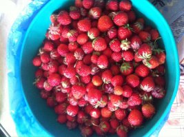 А у нас клубника, сладкая...