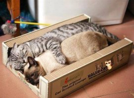 Фотоподборка за 26.06.2015