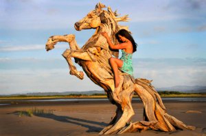 Крылатые драконы из обыкновенных коряг 