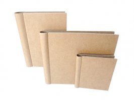 Я помню, как в советское время, многие использовали картонные обложки. Ну и на них писали названия. Так как книги достать было сложно, некоторые особенно находчивые просто ставили пустые обложки и на них писали популярные названия. Это была попытка показать свое благополучие. Сейчас книги не роскошь, купить легко, хотя цены иногда удивляют. Но использовать книгу как декор? Это угнетает. У меня дома нет стеллажа для книг, просто читаю в электронном виде. 
Примерно такие, но куда проще выглядели.