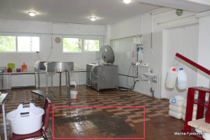 Что за грязь в цеху, где должна быть стерильная чистота? Автор сдал директора сыроварни (кстати, что-то на карела он не очень похож) санэпидстанции с потрохами. Надо было хотя бы в фотошопе почистить.