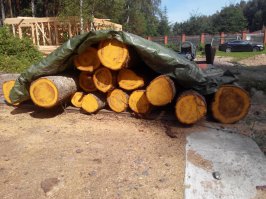 Я этой зимой осенью буду отрываться...
В том году напилил 1.5 метровые брёвнышки.. осталось только вывезти. 800км...
Токарник и место где точить есть..нету самого главного..времени...