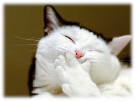 И перестаньте вешать на меня этот розовый бантик!