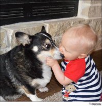 Мне нравятся собачьи носы, они такие мокрые и упругие)