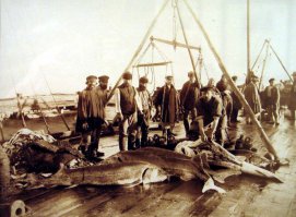 А вот помельче