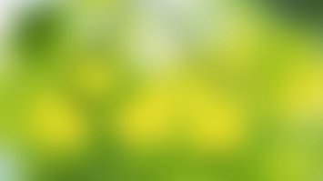 Пост не полный. Как можно было забыть упомянуть эти два растения. Обязательно их запомните и ни в коем случае не ешьте!!!