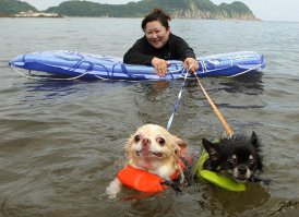 кажется кому-то надо меньше есть