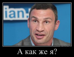 6 бойцов MMA, которые добились успеха вопреки своей неполноценности