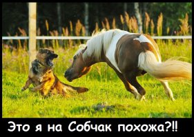 Как выглядят невесты в разных странах мира