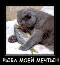 27 июня "Всемирный день рыболовства"