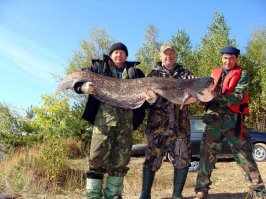 У нас, на Волге - лучше-)