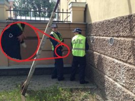 У них даже х*и полосатые