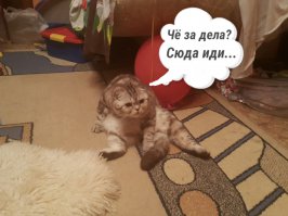 То что накопилось в избранном  