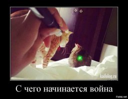 То что накопилось в избранном  