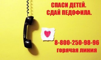 Руководитель общественного движения «Сдай педофила» Анна Левченко:

    За один год на нашу горячую линию поступило 2435 обращений. Выявлено более 3000 лиц, склонных к педофилии. За все предыдущие годы работы нам удалось посадить 89 педофилов, а только за этот год удалось собрать доказательств для возбуждения 69 уголовных дел по всей стране. Закрыли больше 150 сайтов педофилов, - за это отдельная благодарность нашим волонтерам.