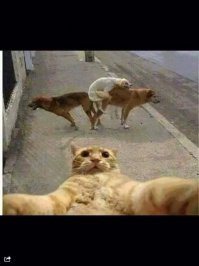 То что накопилось в избранном  