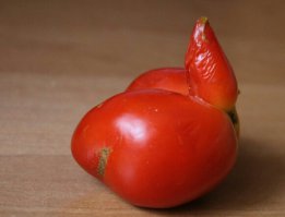 У нас мама тоже прикупила интересные помидоры