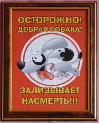 Одна из самых милых собак мира