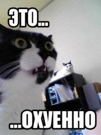 Найди Адольфа