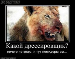 Помидоры-убийцы