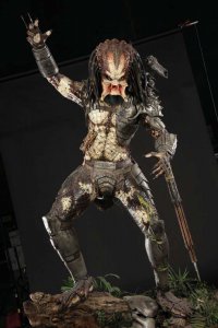 Интересная розетка