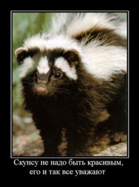 Самого знаменитого вонючку не упомянули: