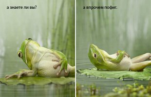 Занимательные факты 