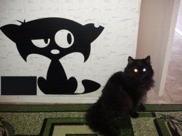 У меня наклейке уже два года
отклеиваться не собирается