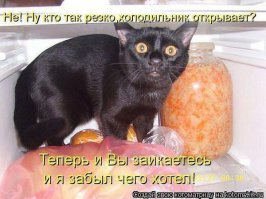Братья наши меньшие, которые очень хотят кушать