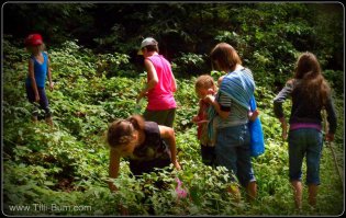 а они завидуют этим детям 
как показывает практика- живя у моря на нем бываешь реже чем приезжие друзья с севера.