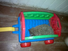 вот, катал тут одного в выходные. думаю когда еще покатается на тележке.