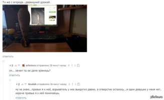 Смешные комментарии из социальных сетей