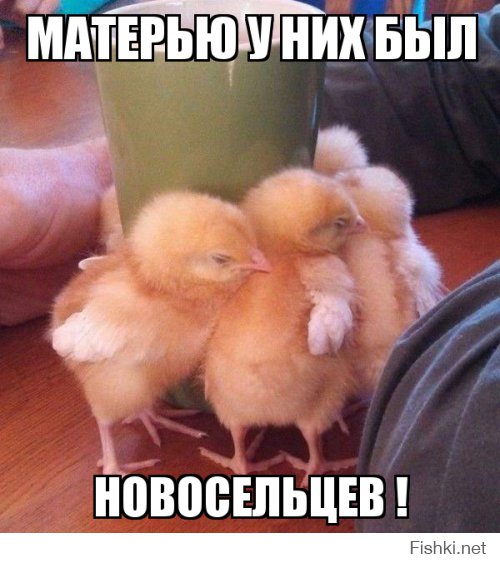 Быть настоящей Мамой