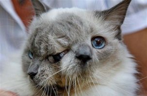 10 случаев удачного фотошопа