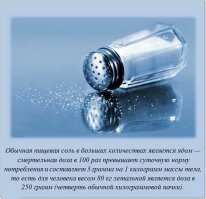 Занимательные факты 