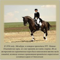 Занимательные факты 