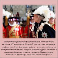 Занимательные факты 