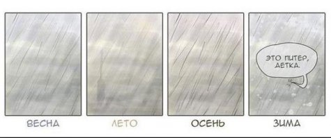 А мне питерская погода нравится.
Не жарко, не холодно, иногда дождь, снега зимой мало.
чего ещё желать.