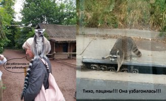 Фотоподборка за 29.06.2015