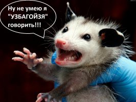 Спрятаться или убежать – не наш метод 