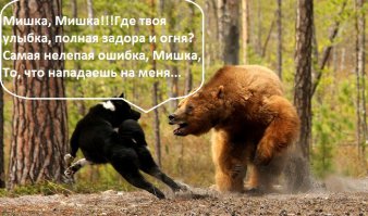 Спрятаться или убежать – не наш метод 