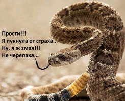 Спрятаться или убежать – не наш метод 