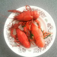 Ничего раки не передают. Ловил сегодня раков, нырял и руками ловил. Никто из них ничего не понял))) Как сидели на песочке, так и продолжали сидеть, ждали, пока я отдышусь перед следующим нырком))
Вот те, что остались))