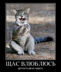 Пес Квазимодо - самая уродливая собака в мире