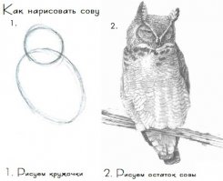 В этом бизнес-проекте только земля обошлась в 15 килобаксов.