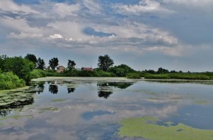 Россия, Челябинская область, Брединский район.