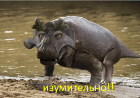 16 самых безумных поступков, которые никого не оставят равнодушным